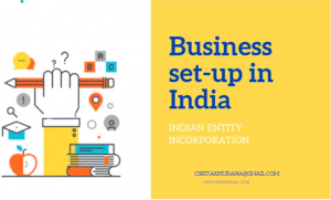 Business setup in India_Incorporation Entity